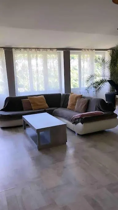 Loft Moderne Au Coeur De L'Auvergne Thiers 0*,